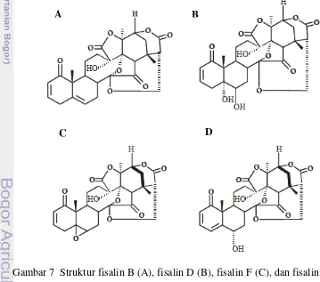 Gambar 7  Struktur fisalin B (A), fisalin D (B), fisalin F (C), dan fisalin G (D) 