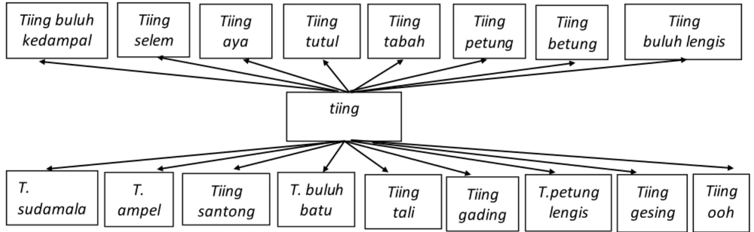 Gambar  4.1.2 Taksonomi hiponim tiing ‘bambu’ 