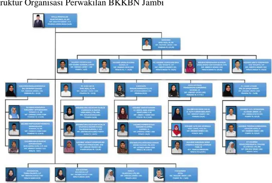 Gambar 1.2 Struktur Perwakilan BKKBN Jambi(Jambi.bkkbn.go.id)  1.3 Sejarah Singkat 