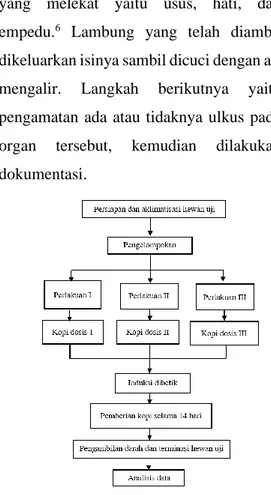 Gambar 2. Skema Penelitian  Hasil 