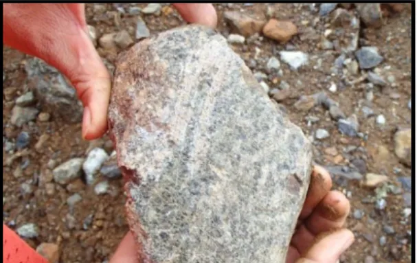 Gambar  20:    Kenampakan  Batuan  Peridotite  High  Serpentinized  Blok  B1  Petea  sample  R1/PDT/C190747