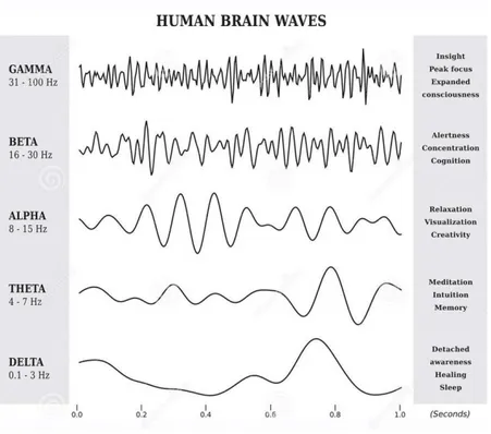 Gambar 2.2. Macam-macam gelombang otak manusia 