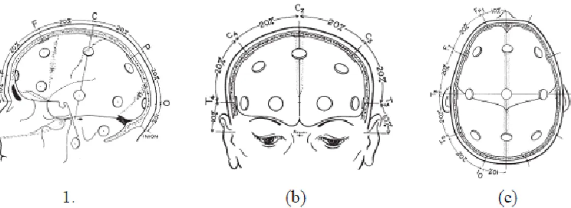 Ilustrasi  peletakan  electrode  berdasarkan  bidang  coronal  dapat  dilihat  pada  Gambar 2.3b