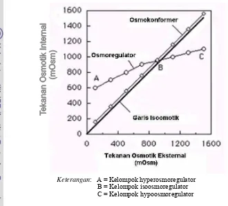 Gambar 4.  Grafik osmotik krustase tipikal osmokonformer dan osmoregulator                                  