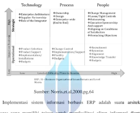 Gambar 3.6.: ERP/E – Business Organizational Issues Domain dan Level Matrix 