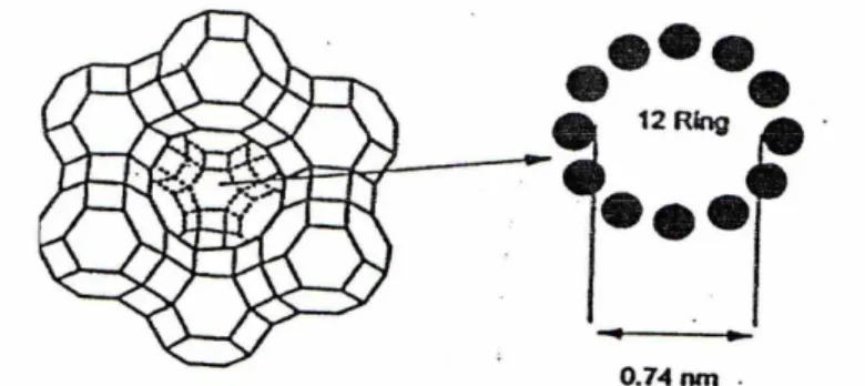Gambar 3.4 Struktur Zeolit X/Y dengan Pembukaan Cincin-12 (Zhao, 2016 dalam   Mekkawi, 2015) 