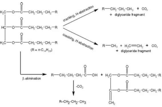 Gambar 3.5 Mekanisme  reaksi  deoksigenasi  trigliserida pada  atmosfir inert  (Hermida,  Zuhairi, &amp; Rahman, 2015) 