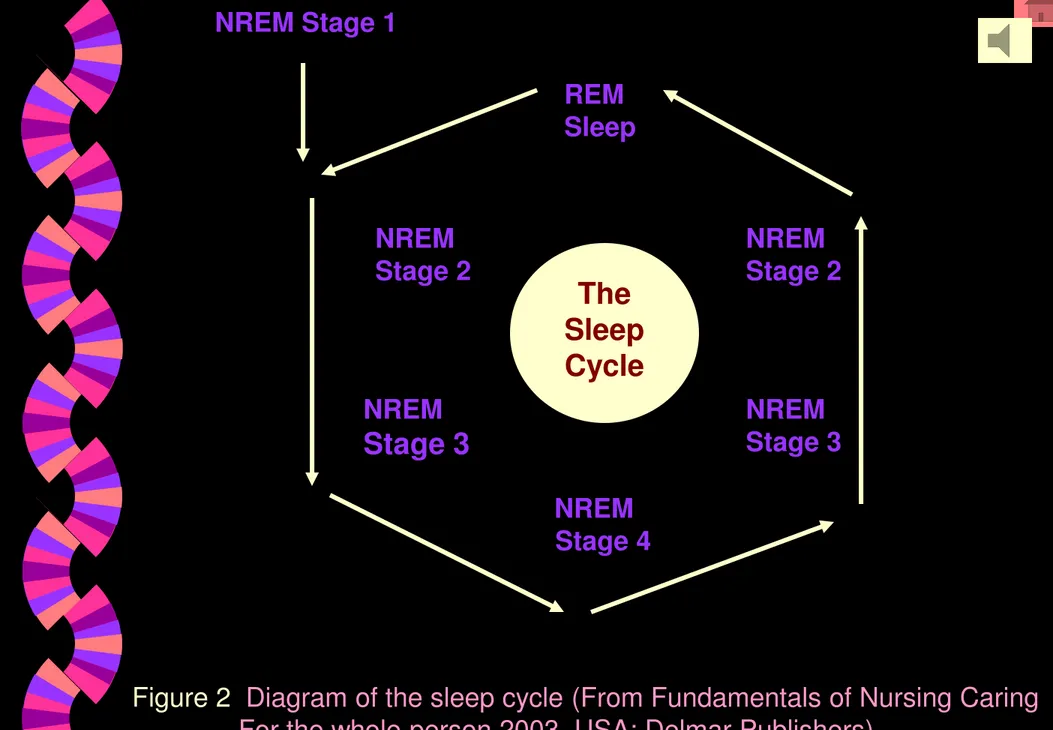 Figure 2 Diagram of the sleep cycle (From Fundamentals of Nursing Caring  For the whole person 2003, USA: Delmar Publishers)