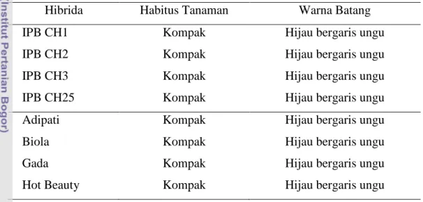 Tabel 10.  Penampilan  Habitus  Tanaman  dan  Warna  Batang  Cabai  Hibrida  yang Diuji 