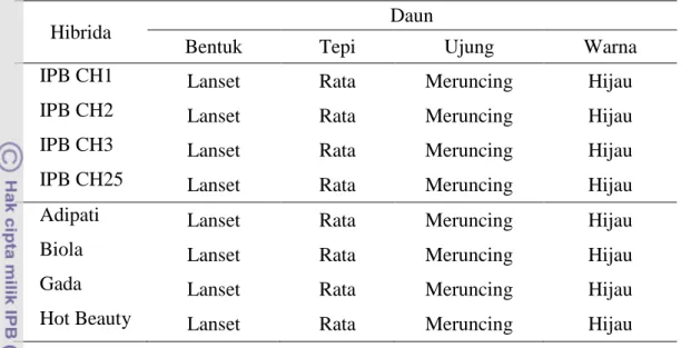Tabel  11.    Penampilan  Karakter  Kualitatif  pada  Daun  Cabai  Hibrida  yang  Diuji 