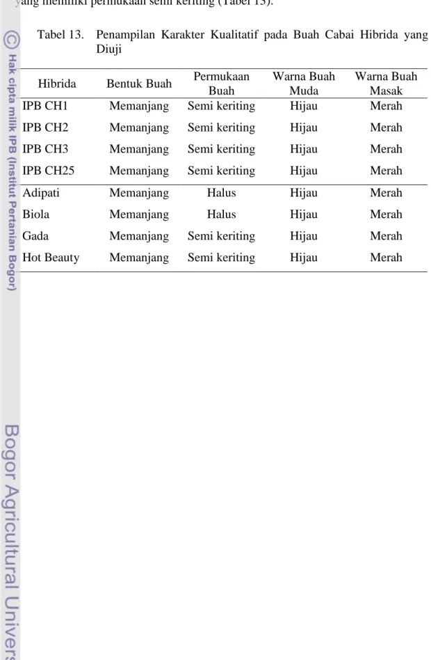 Tabel 13.    Penampilan  Karakter  Kualitatif  pada  Buah  Cabai  Hibrida  yang  Diuji 