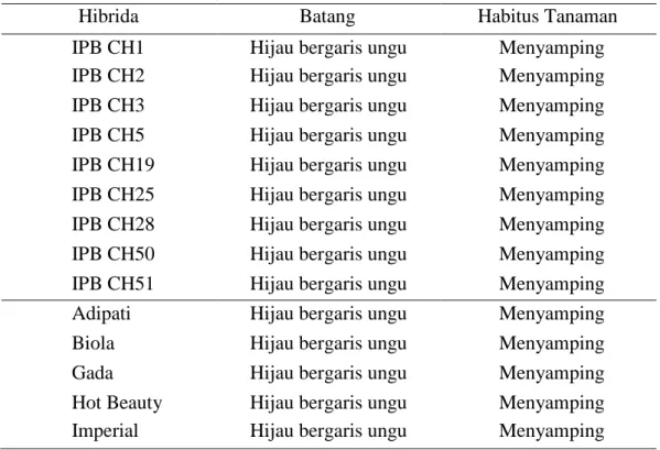 Tabel 8. Penampilan Batang dan Habitus Tanaman Hibrida Cabai yang Diuji