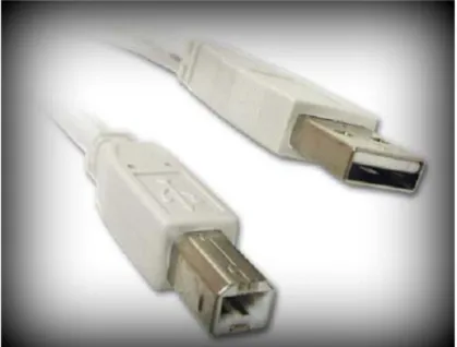 Gambar 2.3 Tampilan Kabel USB (Universal Serial Bus) 