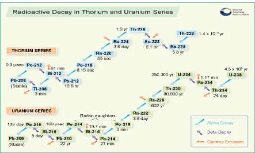 Gambar 1.  Peluruhan radiaktif seri uranium dan thorium 