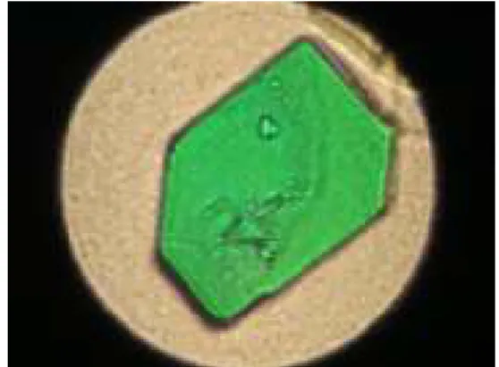 Gambar 2. Habit diklofenak natrium hasil rekristalisasi  dari pelarut etanol (Pembesaran : mikroskop 40X, 