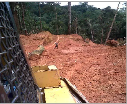 Gambar : 3. Skiding ( penarikan  Log) 