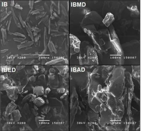 Gambar 1. Hasil pengamatan bentuk-bentuk kristal ibuprofen dengan menggunakan  Scanning Electron Microscopy (SEM) pada perbesaran 200x.