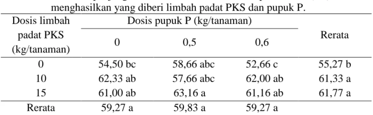 Tabel  4.  Rerata  panjang  anak  daun  tanaman  kelapa  sawit  (cm)  belum     menghasilkan yang diberi limbah padat PKS dan pupuk P