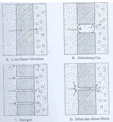 Gambar 3. Beberapa Model Pergerakan Air Melewati Membran (Lakitan, 1993) 