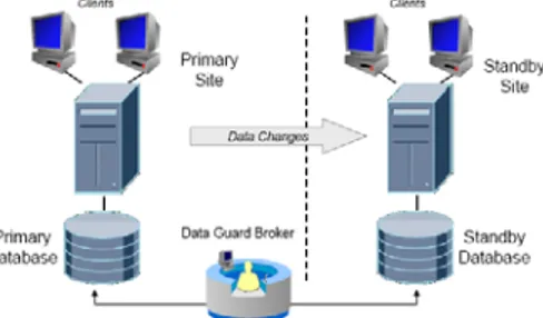 Gambar 1. Arsitektur Oracle Data Guard  2.3 Jaringan 