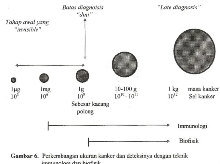 Gambar 6. Perkembangan ukuran kanker dan deteksinya dengan teknik immunologi dan biofisik