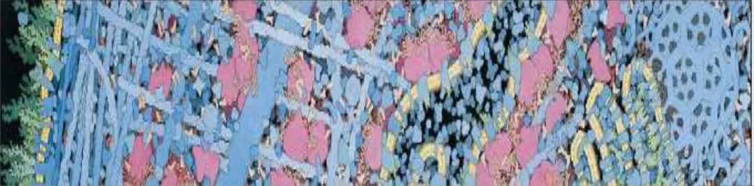 Gambar dari kiri ke kanan menunjukkan permukaan sel, reticulum endoplasm,  Golgi apparatus, mitochondrion; dan nucleus( inti)
