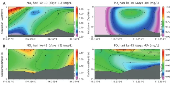 Gambar 2. Analisis vertikal kualitas perairan di lokasi IMTA Teluk Gerupuk: hari ke-30 (A) dan hari ke-45 (B)