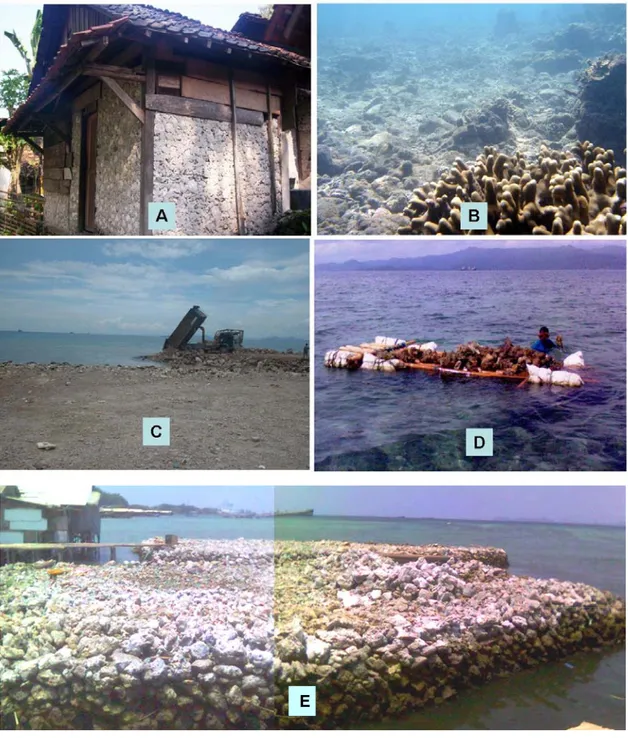Gambar 7.  Aktivitas yang merusak terumbu karang. 
