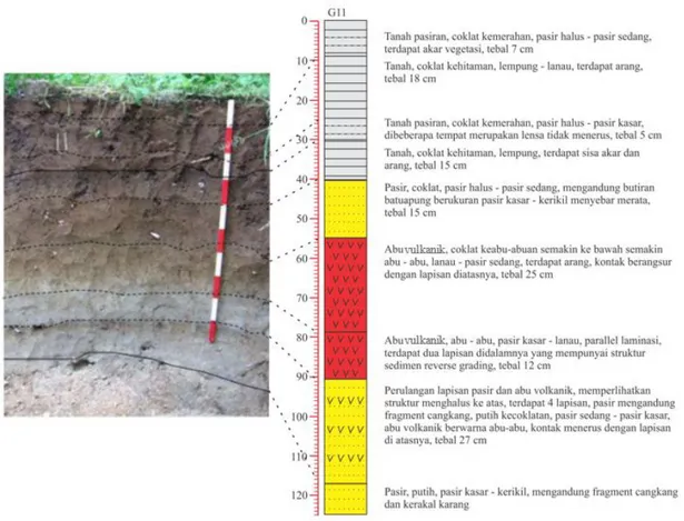 Gambar 3. Profil stratigrafi Stasiun G11. 