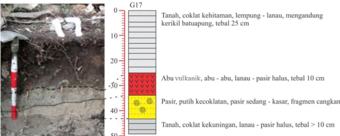 Tabel 1. Kisaran kedalaman asal endapan pasir tsunami Stasiun G11 berdasarkan data foraminifera  bentonik