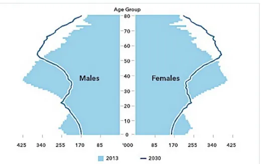 Tabel 1.5 Piramid usia pada tahun 2013 dan 2030 