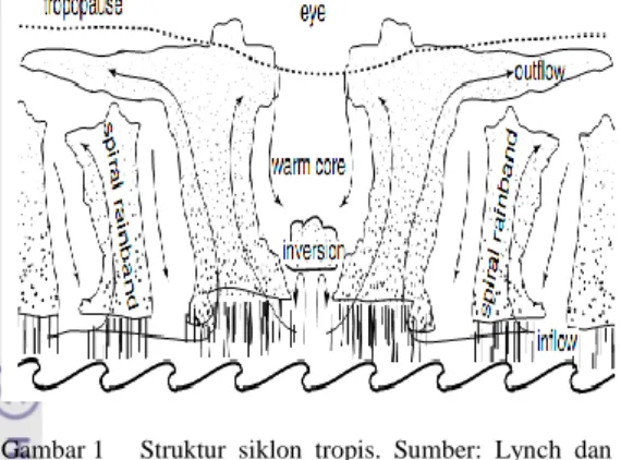 Gambar 1  Struktur  siklon  tropis.  Sumber:  Lynch  dan  Cassano (2006) 