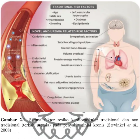 Gambar  2.1.  Skema  faktor  resiko  kardiovaskuler  tradisional  dan  non  tradisional  (terkait  uremia)  pada  penyakit  ginjal  kronis  (Stevinkel  et  al.,  2008) 