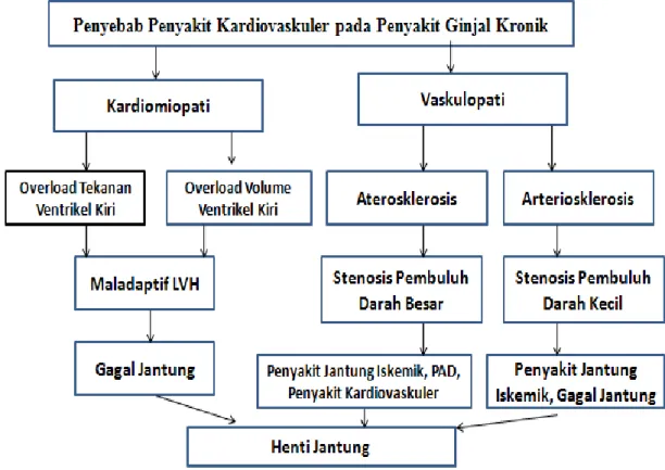 Gambar 2.2. Penyebab PKV pada PGK ( Khaled dan Patrick, 2011 ). 