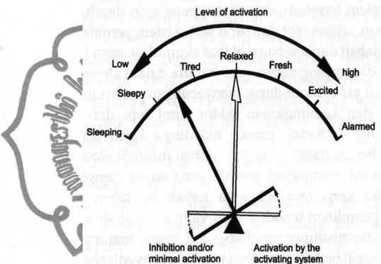Gambar 1 . Model teorikal untuk mengilustrasikan  mekanisme neurofisiologis atau neraca 