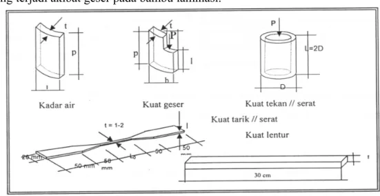 Gambar 3.1. Tipe-Tipe Uji Pendahuluan