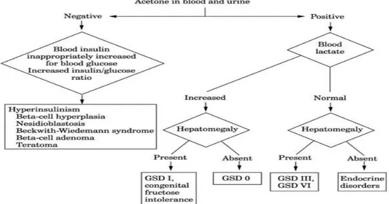 Diagram 1. Alur diagnosis hipoglikemia berdasarkan pemeriksaan laboratorium 