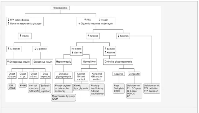 Diagram 3. Pendekatan diagnosis hipoglikemia pada anak 
