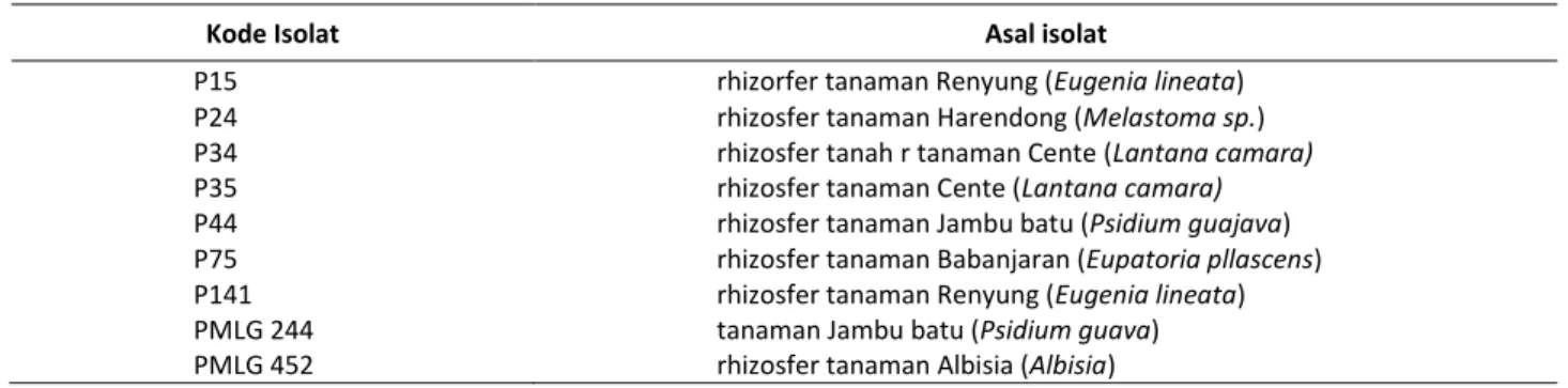 Tabel 1. Isolat bakteri pelarut fosfat asal rhizosfer tanah ultisol Kentrong, Lebak, Banten 