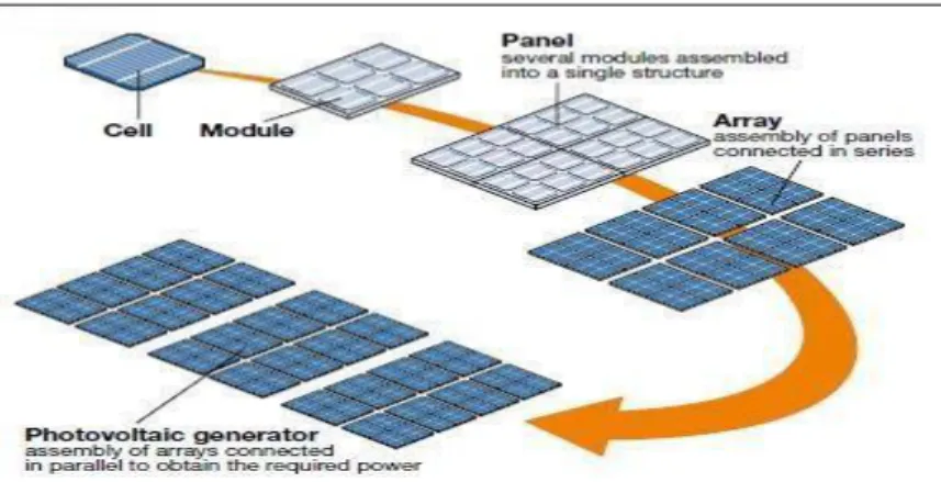 Gambar 2.5 Skema hubungan antara solar cell, modul, panel, dan array   (Sumber: Anonim
