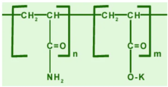 Gambar 1. Rantai polimer hydrogel 