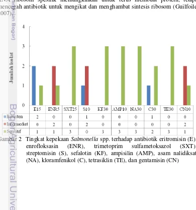 Gambar 2  Tingkat kepekaan  Salmonella spp. terhadap antibiotik eritromisin (E), 