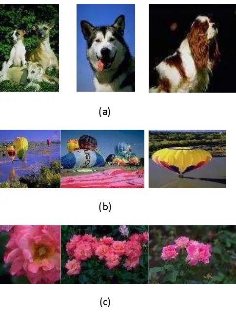 Gambar 3. Gambar Uji : kategori : (a) Anjing, (b) Ballon, (c) Bunga  