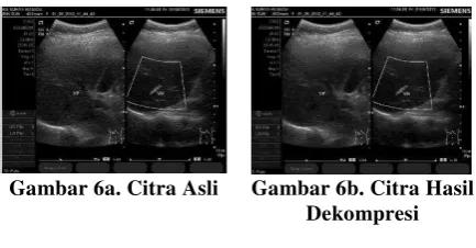 Gambar 6a. Citra Asli 
