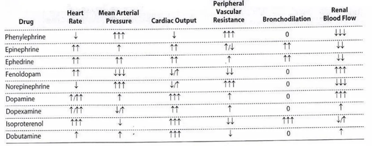 Tabel 12-2. Efek dari agonis adrenergik pada sistem organ 
