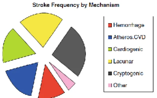 Gambar 5. Tempat tersering abnormalitas arteri dan jantung yang menyebabkan stroke  iskemik