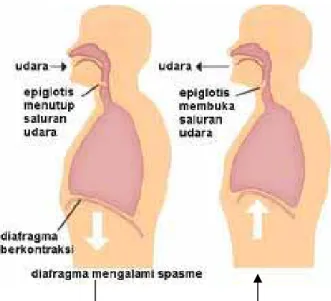 Gambar pernafasan diafragma yang baik pada saat bernyanyi. 
