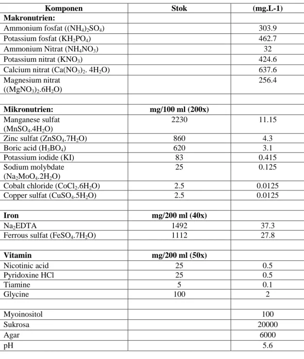 Tabel 6. Komposisi Medium New Phalaenopsis (NP) yang telah dimodifikasi (Islam  et al., 1998)  Komponen Stok (mg.L-1) Makronutrien: Ammonium fosfat ((NH 4 ) 2 SO 4 ) 303.9 Potassium fosfat (KH 2 PO 4 ) 462.7 Ammonium Nitrat (NH 4 NO 3 ) 32