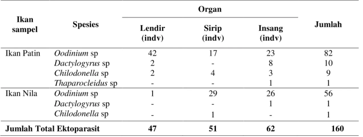 Tabel 3. Jenis Ektoparasit yang ditemukan pada ikan konsumsi air tawar di Kecamatan                  Seruyan Hilir  Ikan  sampel  Spesies  Organ  Jumlah Lendir  (indv)  Sirip  (indv)  Insang  (indv) 