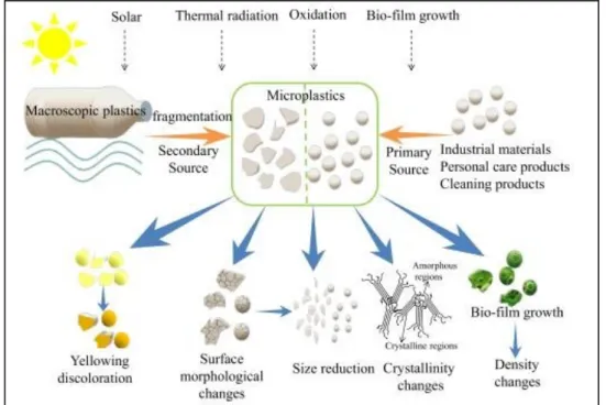 Gambar 2. Perubahan kandungan mikroplastik setelah terdegradasi (Guo &amp; Wang, 2019)